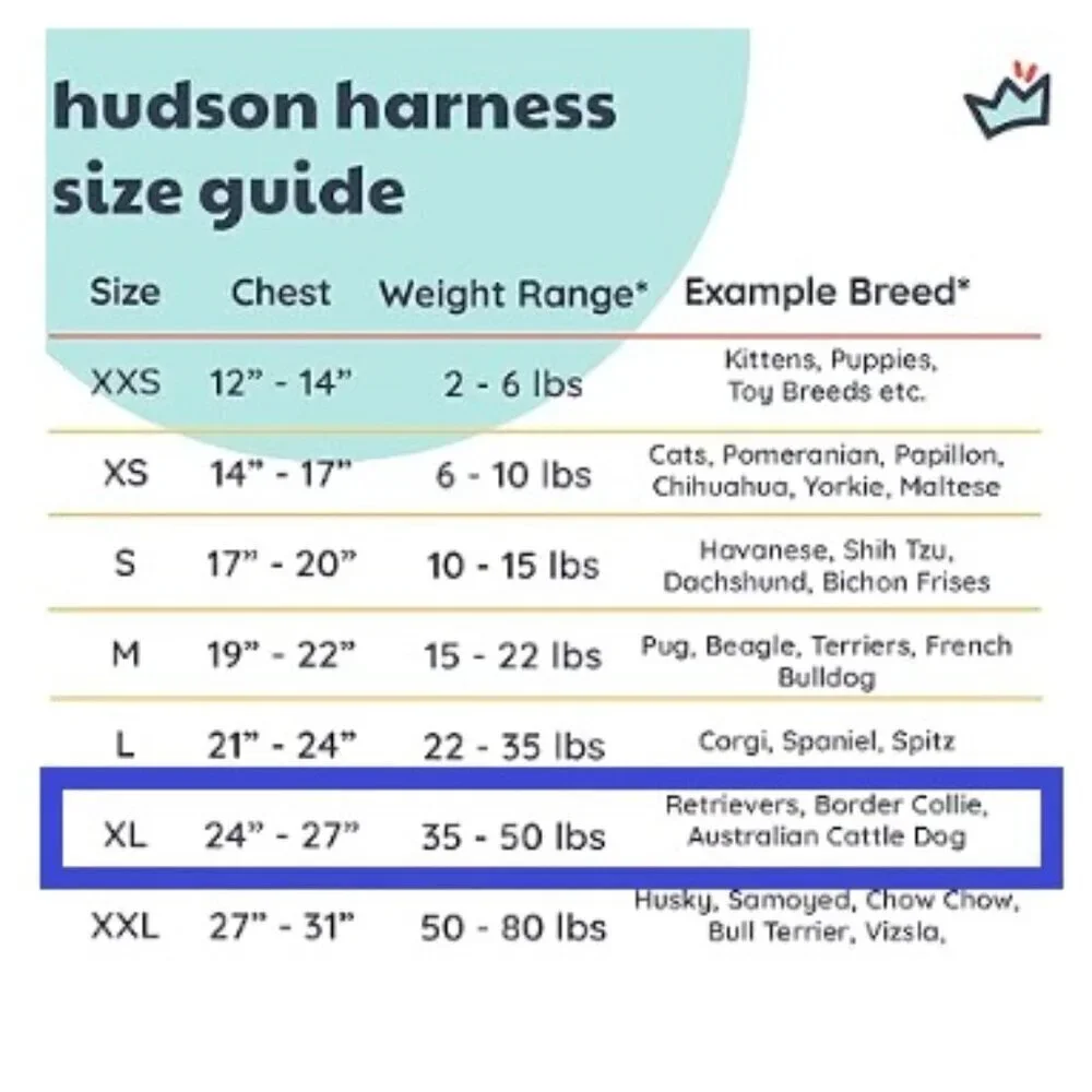 Blue (Extra-Large, 35-50lbs) | Easy Control Step-in Mesh Vest Harness for Dogs